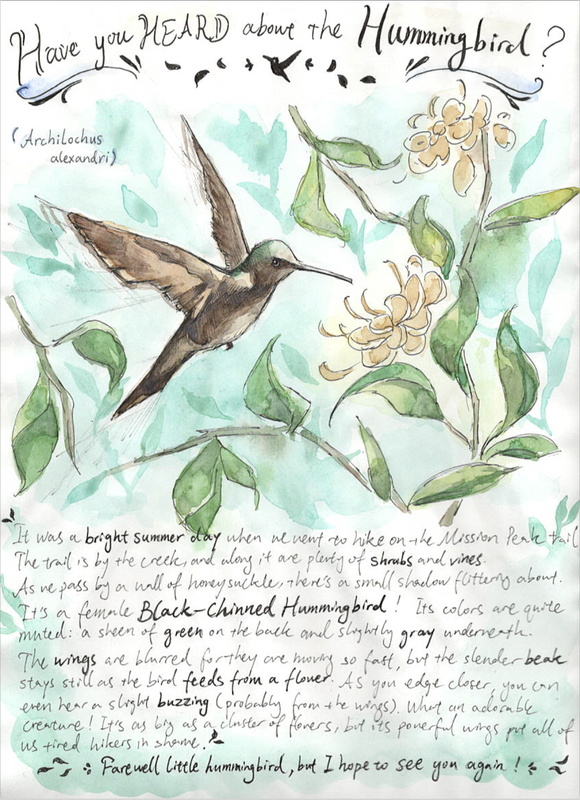 Painting of a hummingbird with honeysuckle flowers