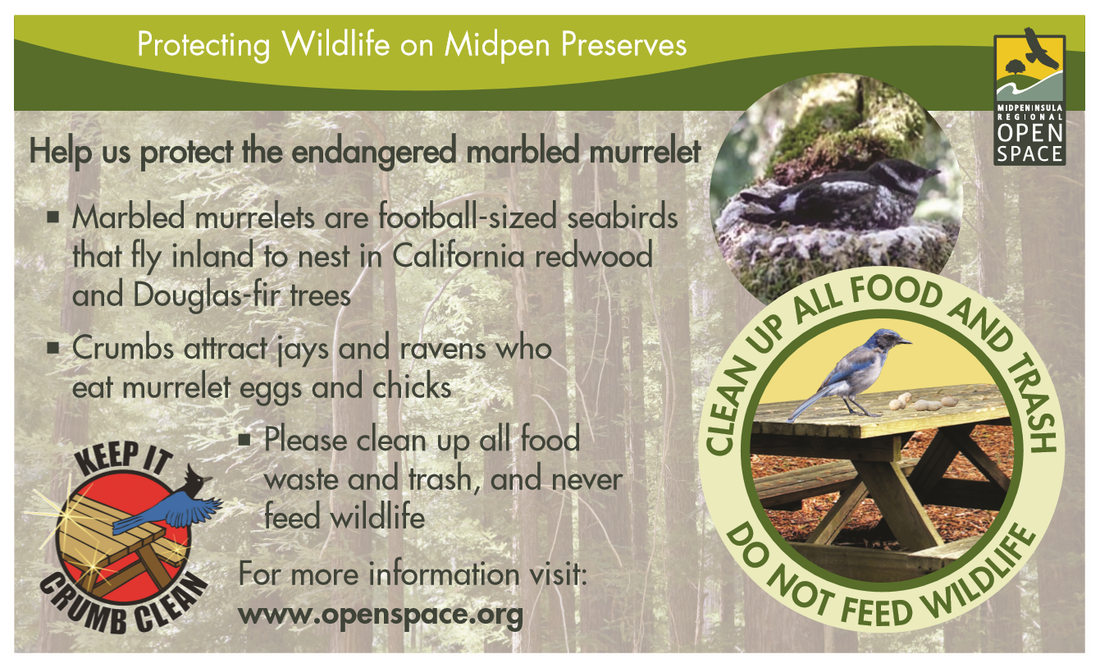 Protecting wildlife on Midpen Preserves - clean up food waste and trash, and never feed wildlife