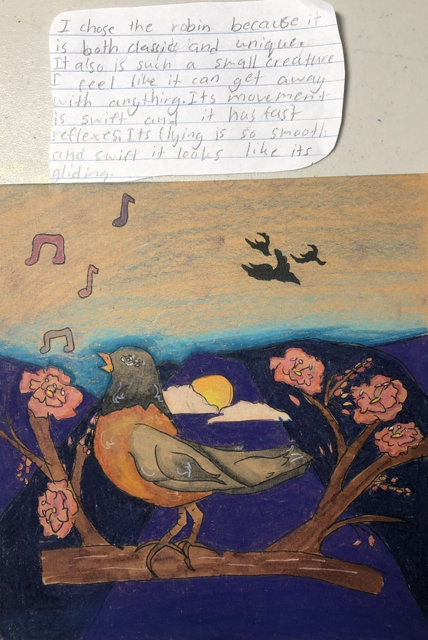 Artwork of an American Robin singing