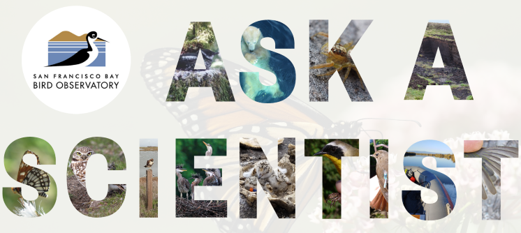 Picture Ask A Scientist