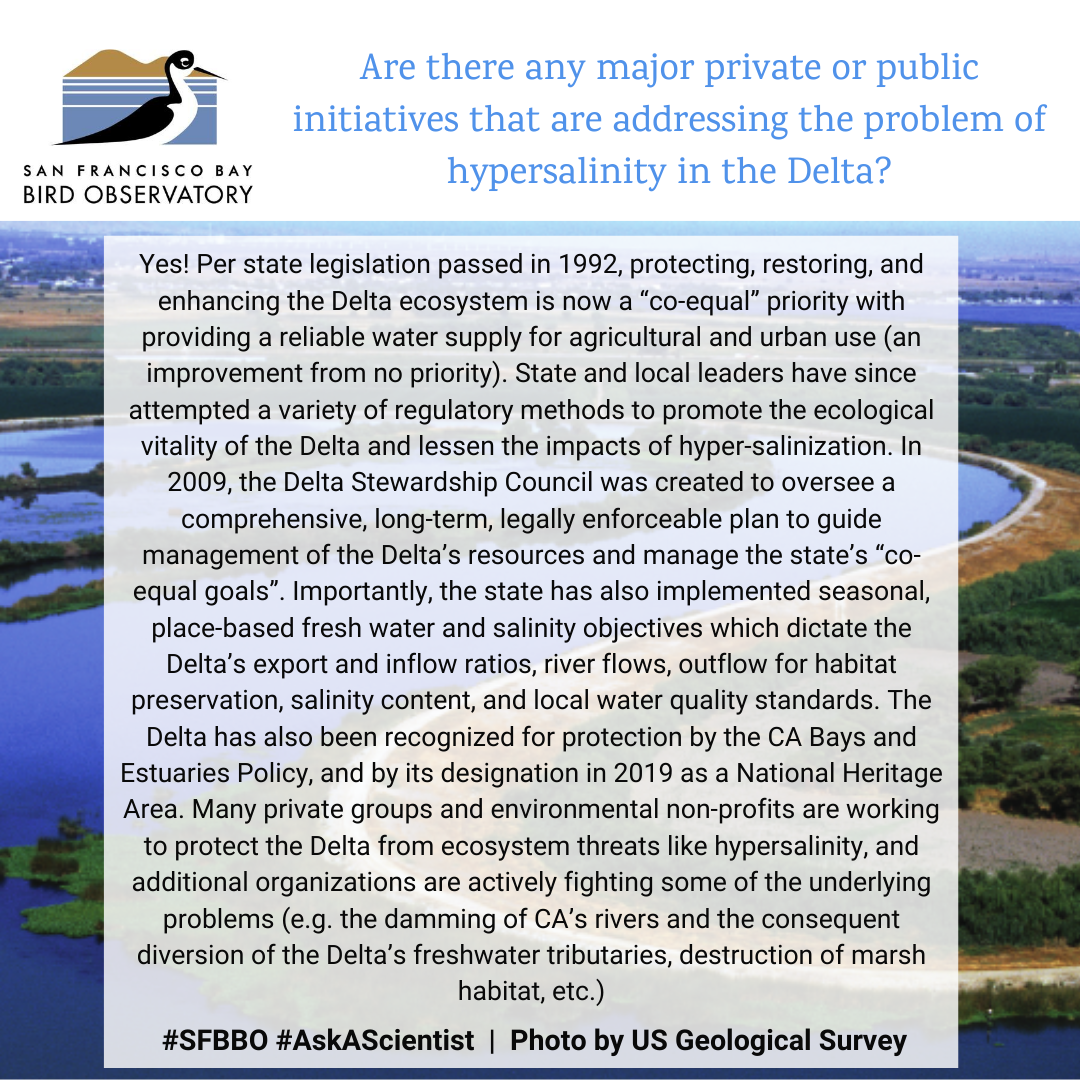 Are there any major private or public initiatives that are addressing the problem of hypersalinity in the Delta? Yes! Per state legislation passed in 1992, protecting, restoring, and enhancing the Delta ecosystem is now a “co-equal” priority with providing a reliable water supply for agricultural and urban use (an improvement from no priority). State and local leaders have since attempted a variety of regulatory methods to promote the ecological vitality of the Delta and lessen the impacts of hyper-salinization. In 2009, the Delta Stewardship Council was created to oversee a comprehensive, long-term, legally enforceable plan to guide management of the Delta’s resources and manage the state’s “co-equal goals”. Importantly, the state has also implemented seasonal, place-based fresh water and salinity objectives which dictate the Delta’s export and inflow ratios, river flows, outflow for habitat preservation, salinity content, and local water quality standards. The Delta has also been recognized for protection by the CA Bays and Estuaries Policy, and by its designation in 2019 as a National Heritage Area. Many private groups and environmental non-profits are working to protect the Delta from ecosystem threats like hypersalinity, and additional organizations are actively fighting some of the underlying problems (e.g. the damming of CA’s rivers and the consequent diversion of the Delta’s freshwater tributaries, destruction of marsh habitat, etc.)