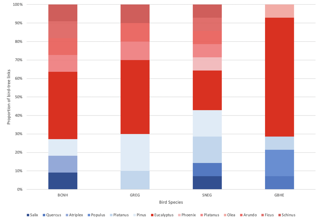 Graph showing percentage of links of each bird species by tree genus.