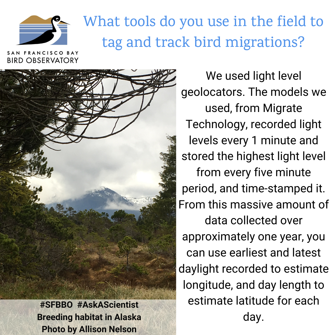 What tools do you use in the field to tag and track bird migrations? We used light level geolocators. The models we used, from Migrate Technology, recorded light levels every 1 minute and stored the highest light level from every five minute period, and time-stamped it. From this massive amount of data collected over approximately one year, you can use earliest and latest daylight recorded to estimate longitude, and day length to estimate latitude for each day.