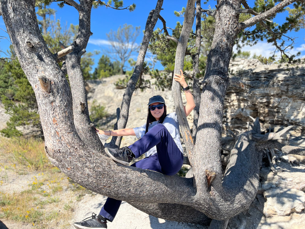 Grace Xiao in a tree.