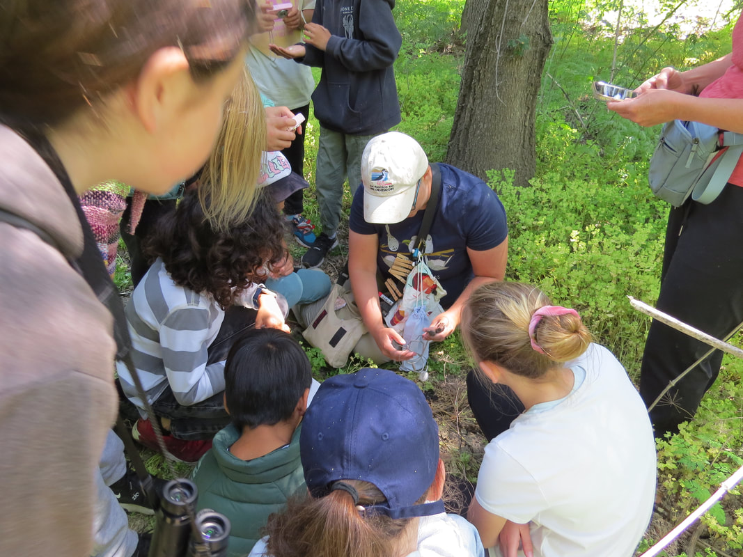 A group of students sitting on the grass gathered around a scientist